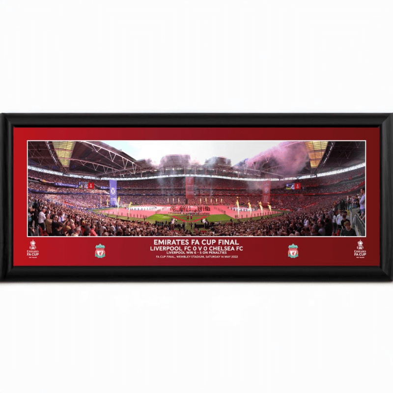 30" Framed Large Panoramic