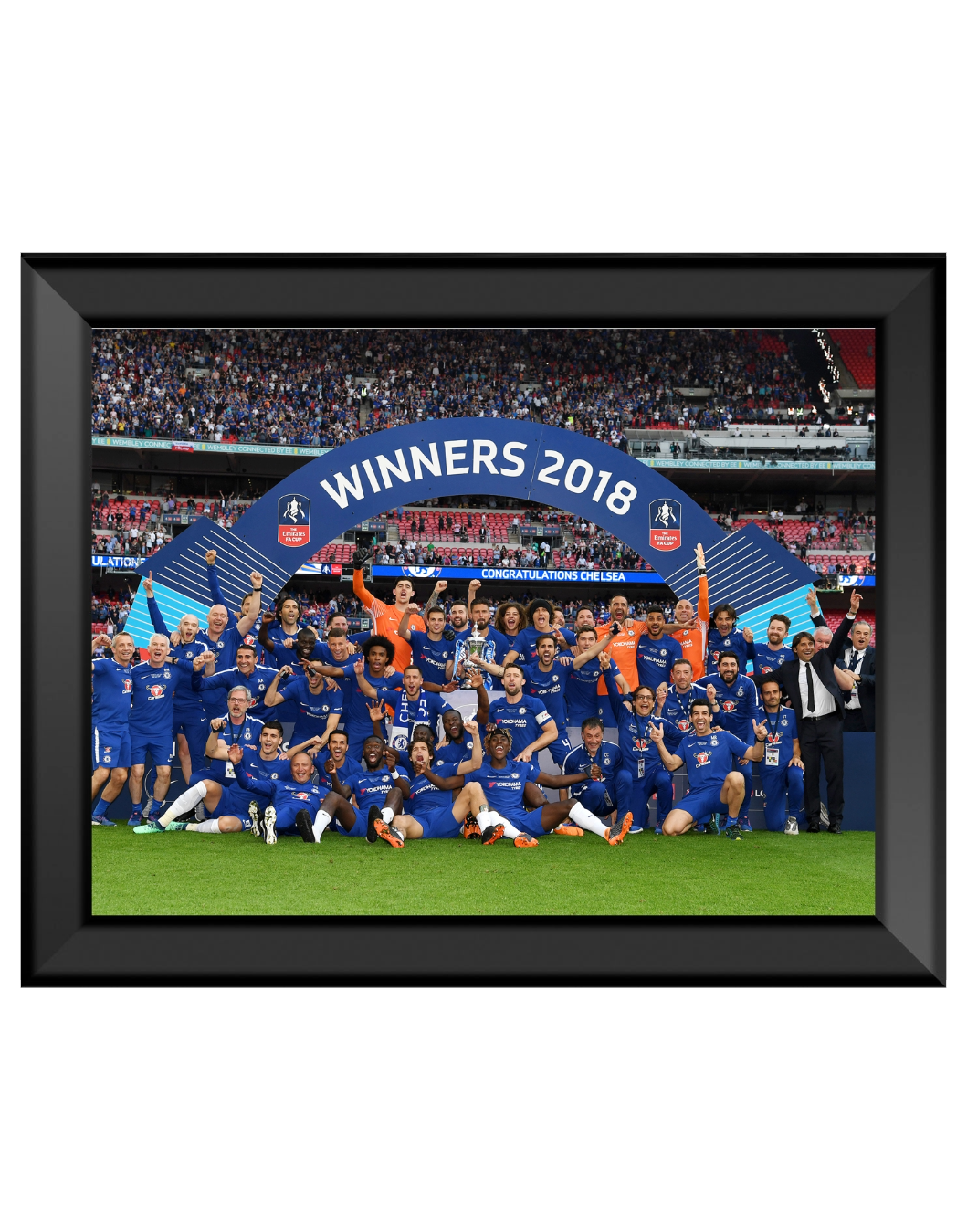 12 x 16" Framed Print