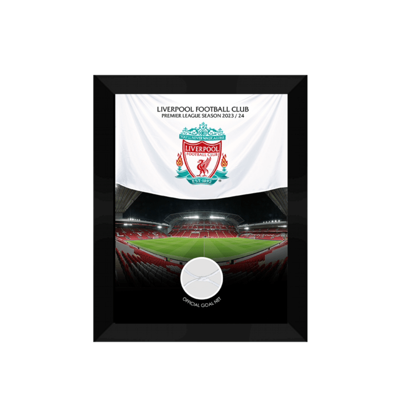 Mini Framed Goal Net