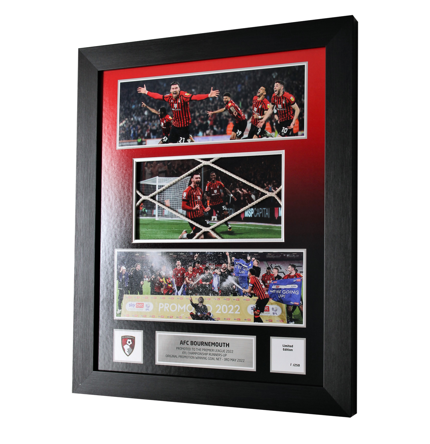 20 x 16" Luxury Framed Goal Net