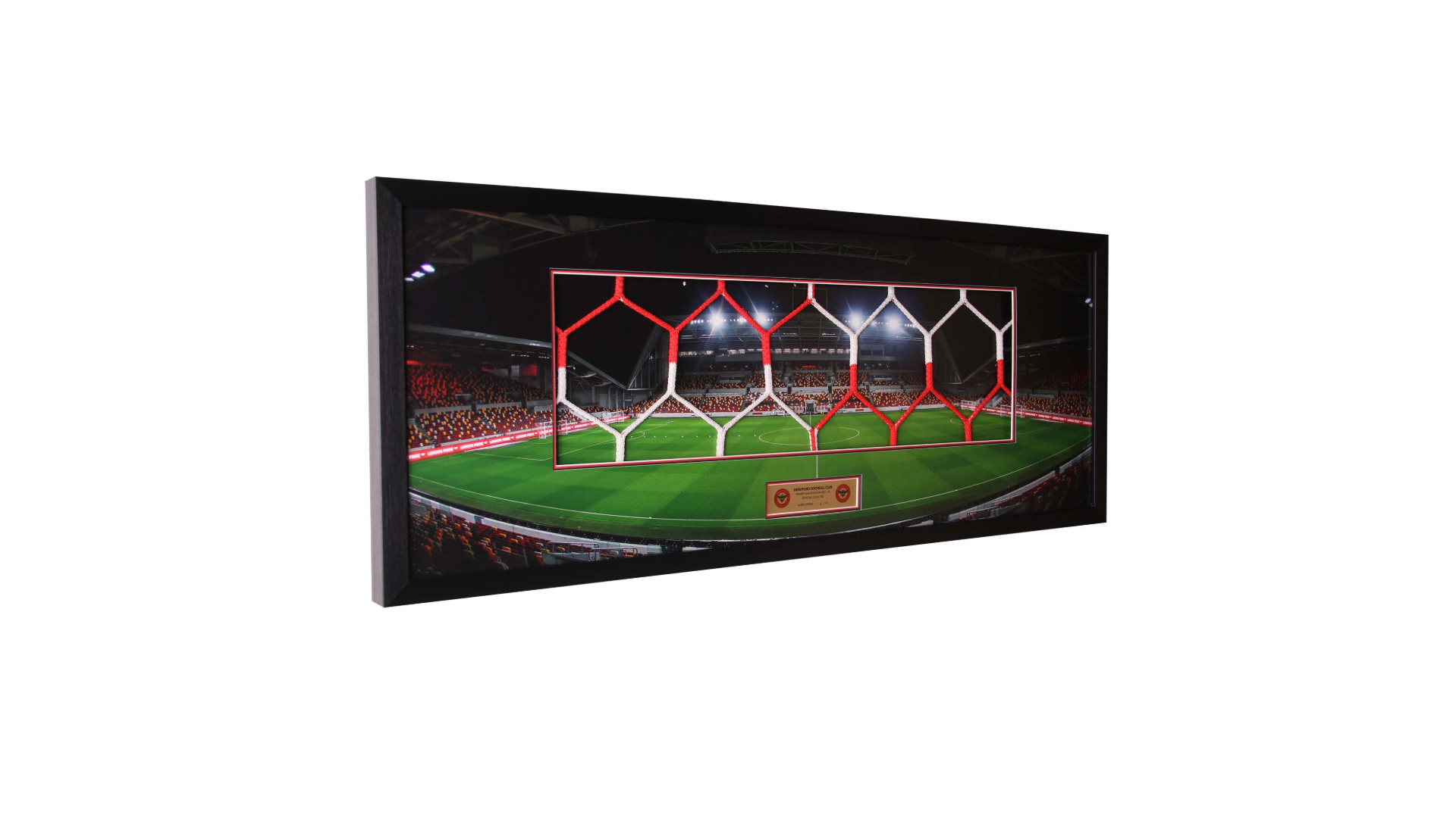 30" Panoramic Framed Goal Net