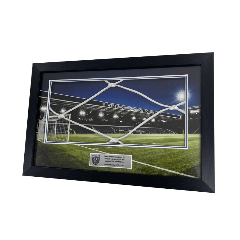 Double Mounted Goal Net