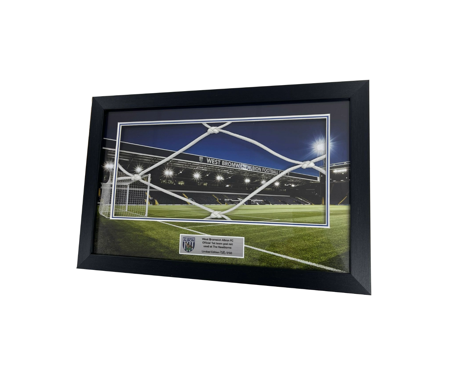 Double Mounted Goal Net