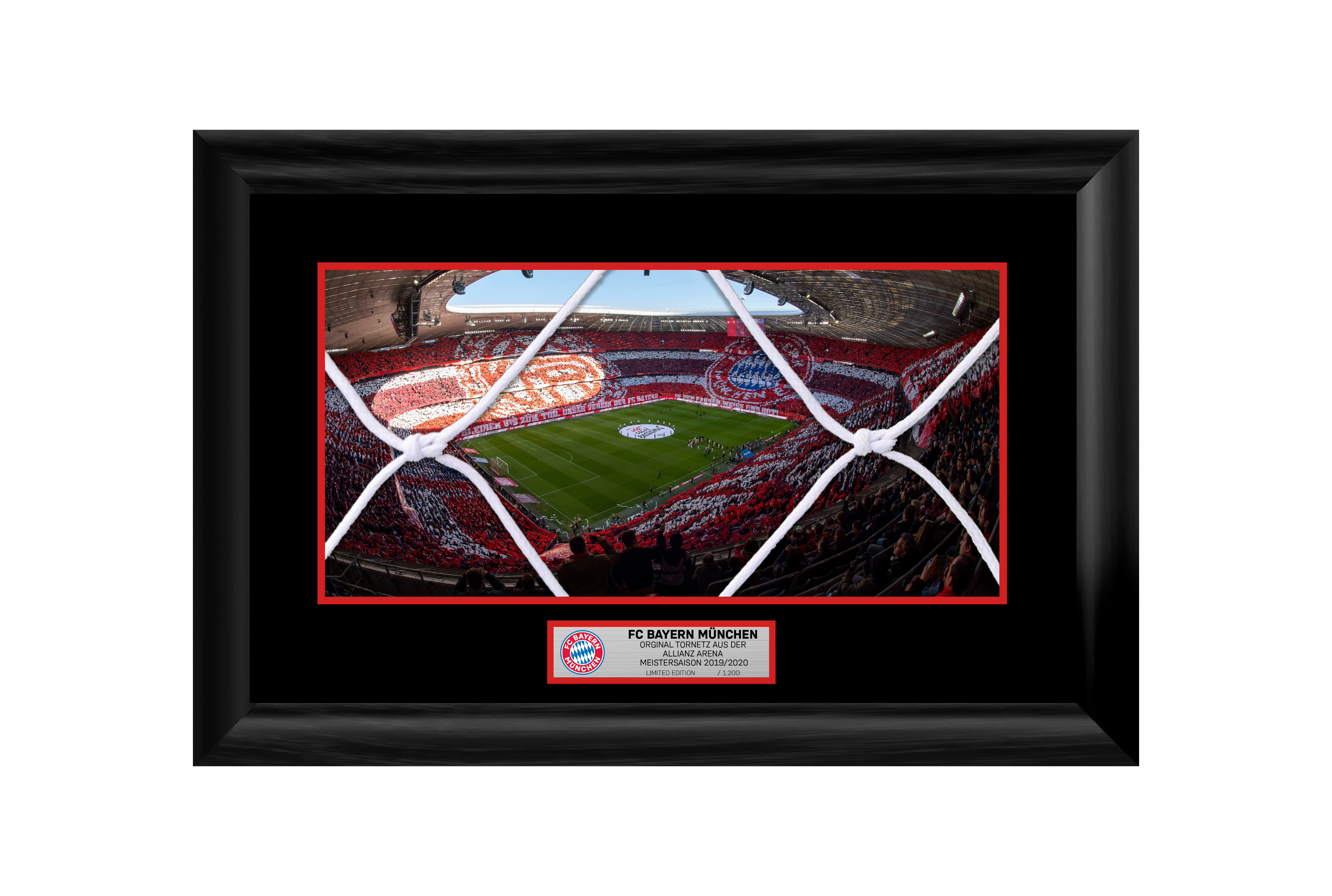 Double Mounted Goal Net - Image 3