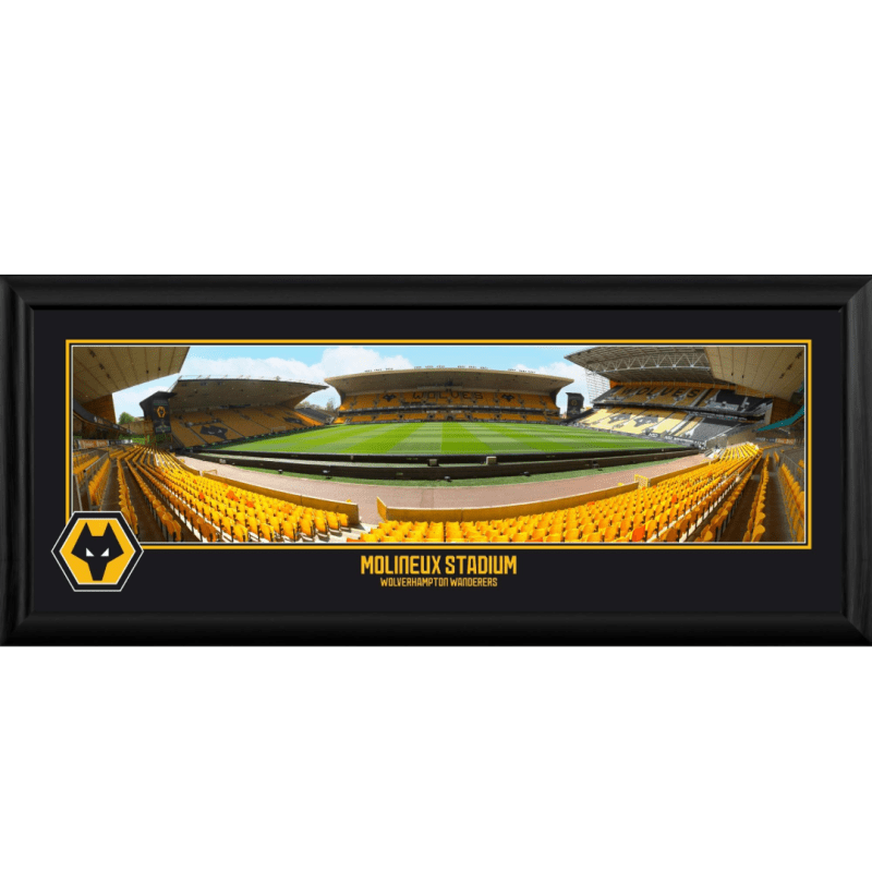 Framed Desktop Panoramic