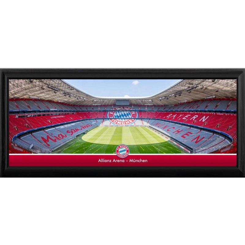 20" Framed Medium Panoramic