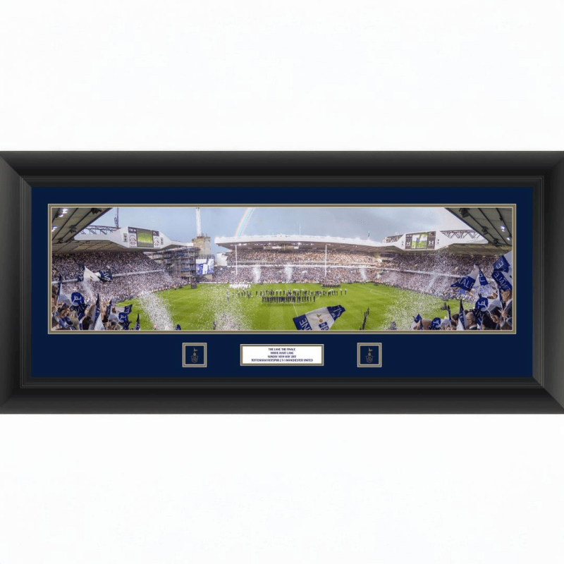 30" Framed Executive Panoramic