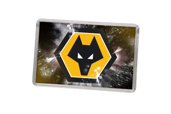 Standard Fridge Magnet