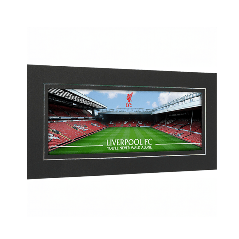 12 x 6" Panoramic Photograph in Strut Mount